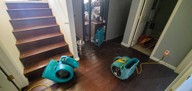 Best Sewage cleanup and water damage restoration  in Lincroft, NJ