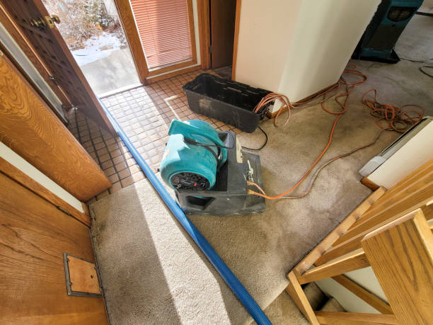 Best Emergency water extraction  in Lincroft, NJ