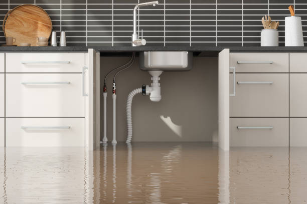 Best Water damage restoration cost  in Lincroft, NJ